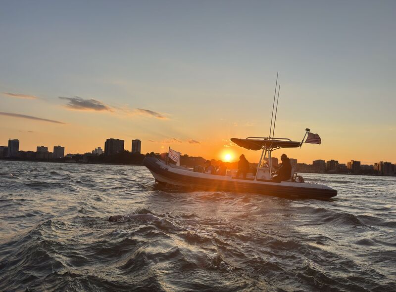 Swells again at the end of the swim in the Hudson
