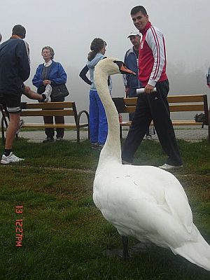 IMG 10.Kolo